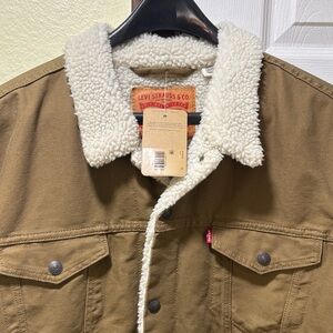 Levi's Men's Brown Sherpa-Lined Trucker Jacket with Cream Collar